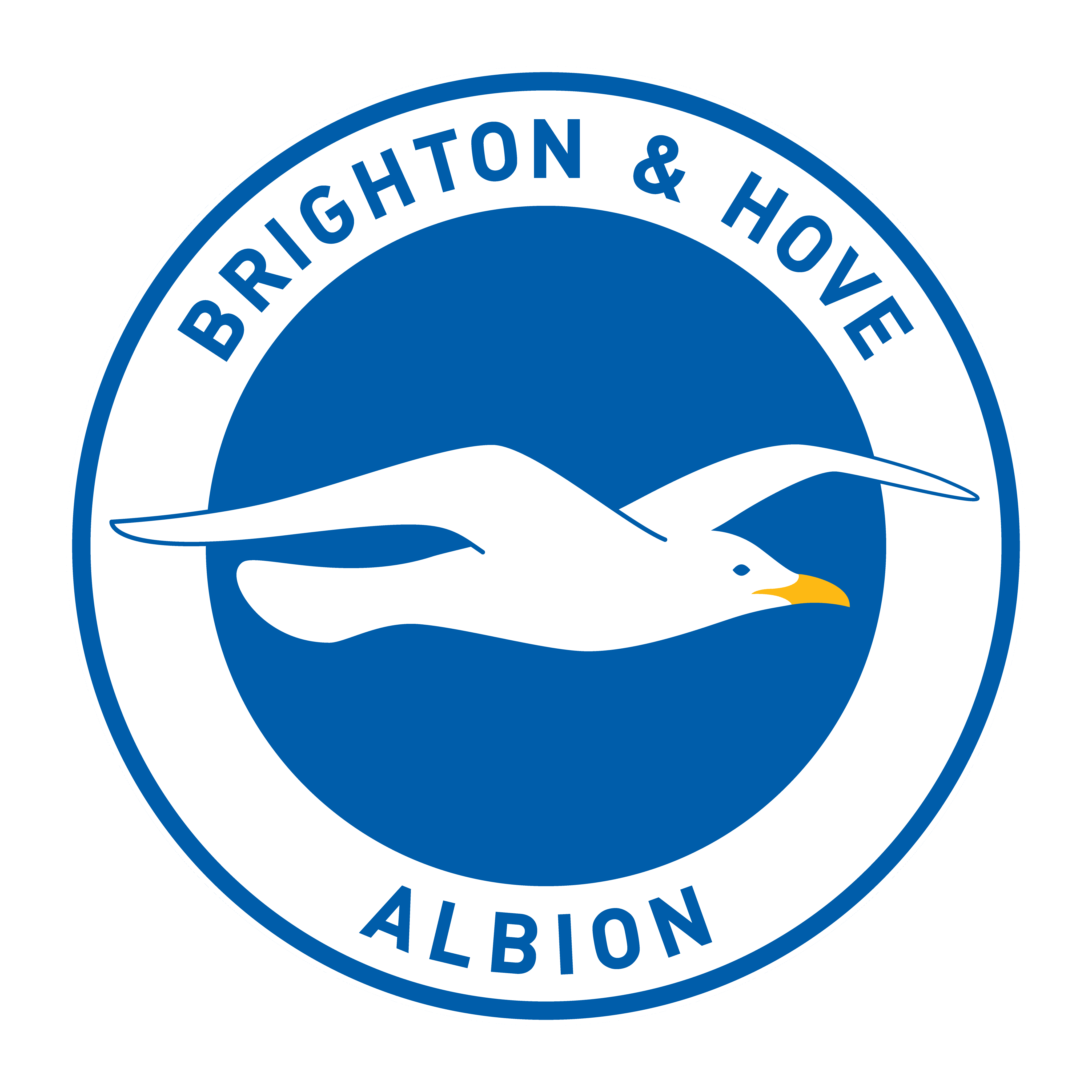 logo brighton hove albion football club