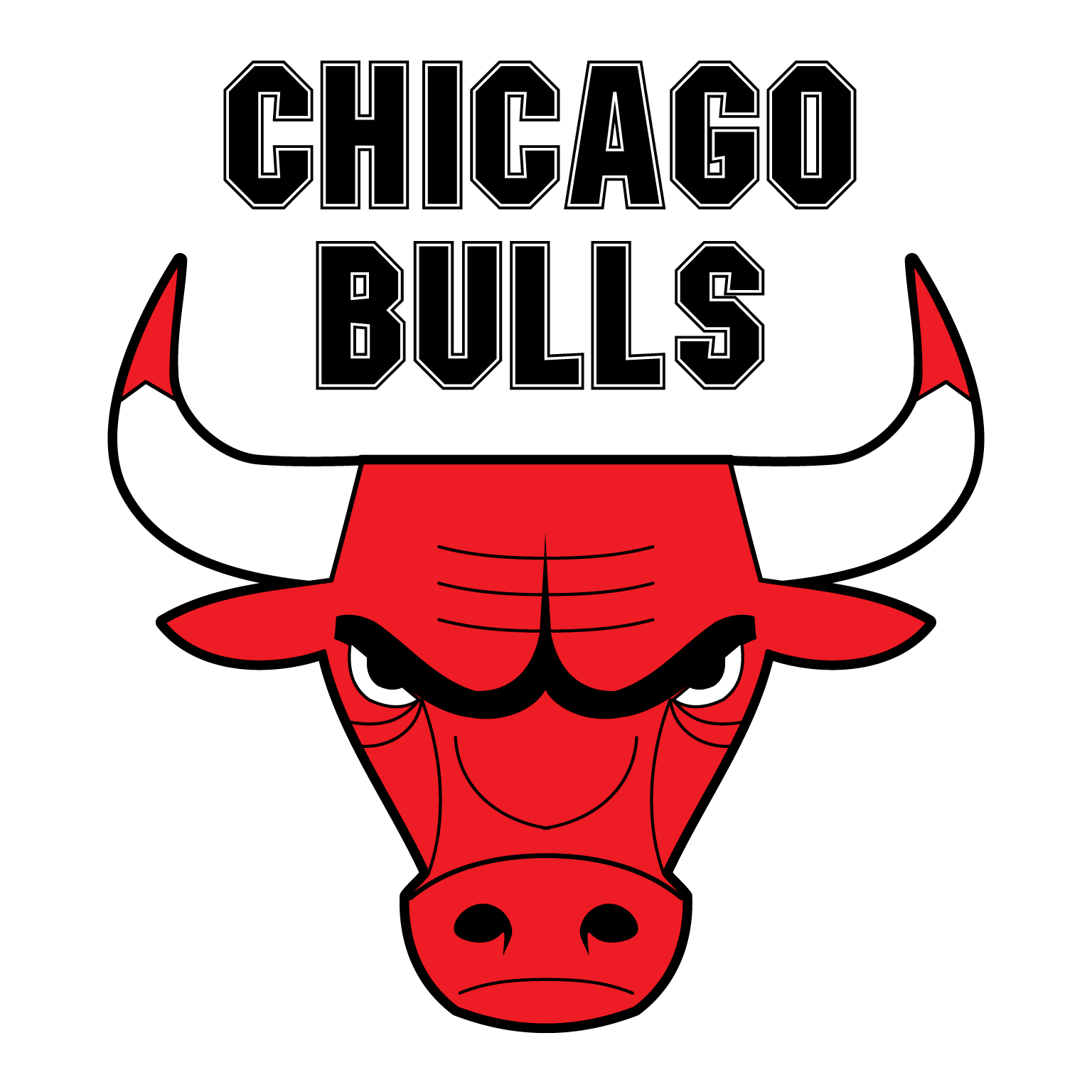 escudo chicago bulls