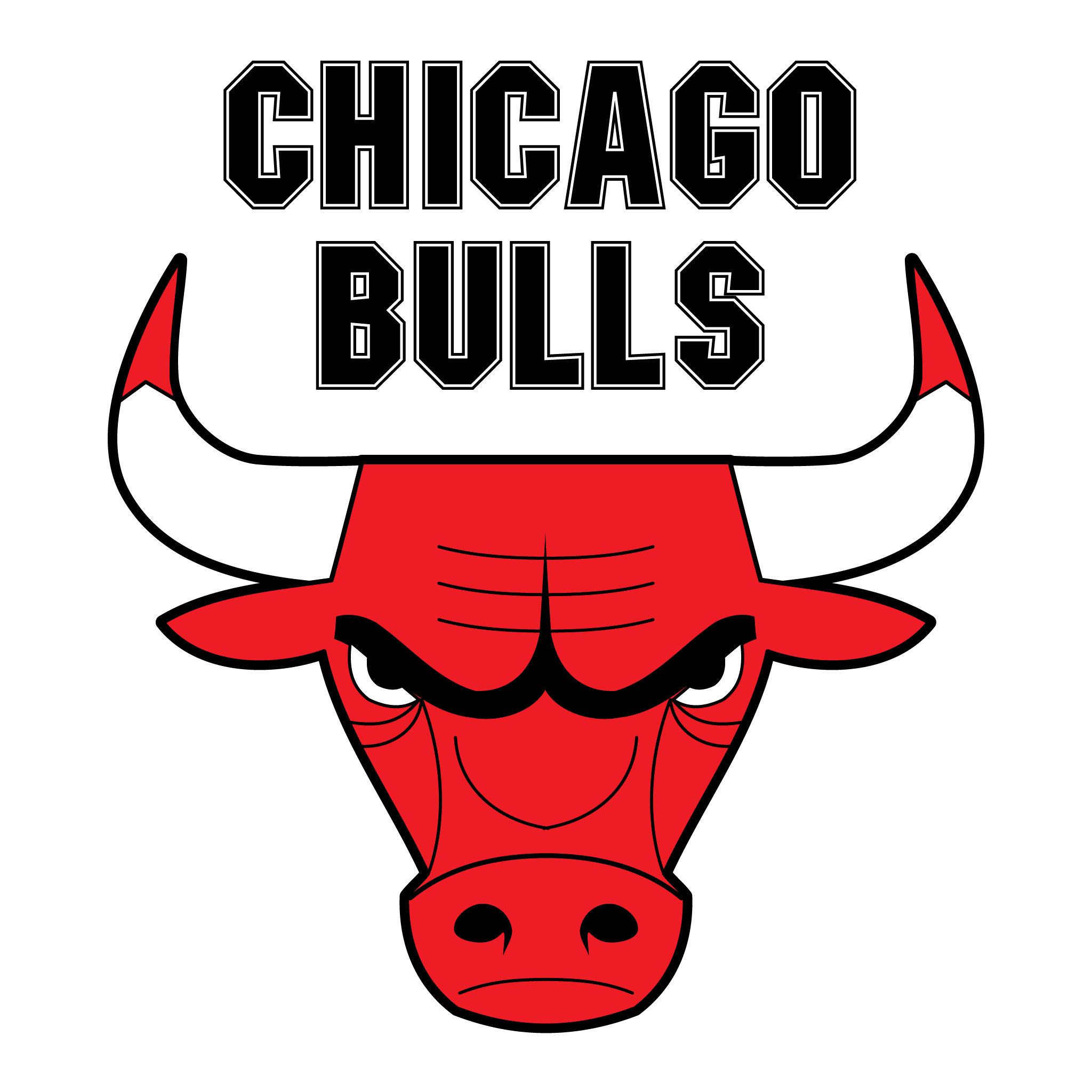 brasao do chicago bulls