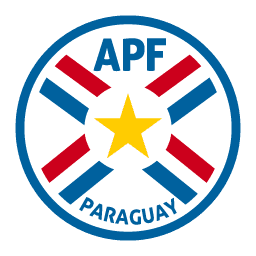 escudo pequeno time seleo paraguaia de futebol