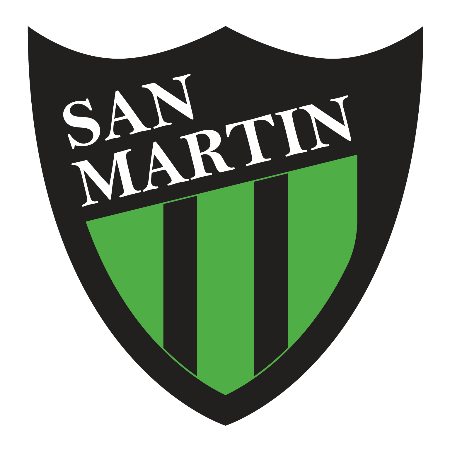 escudo san martin de san juan