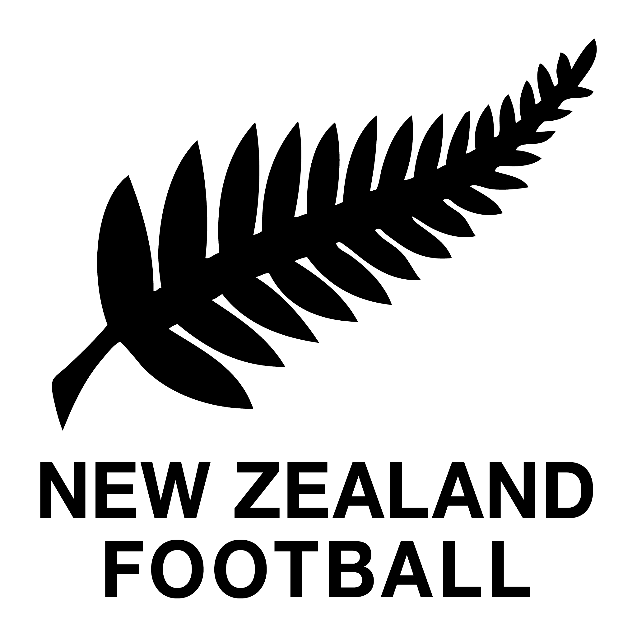 selecao-neozelandesa-de-futebol logo
