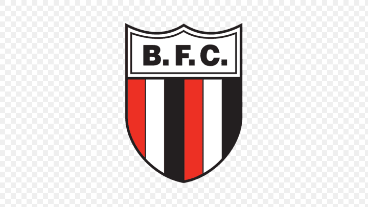 escudo botafogo futebol clube