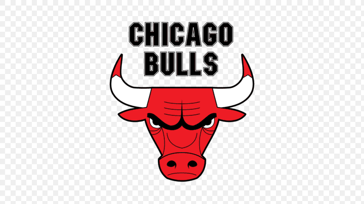 escudo Chicago Bulls