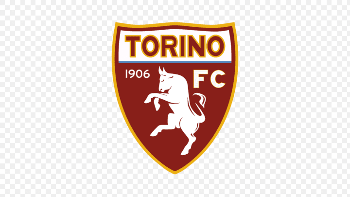 escudo torino